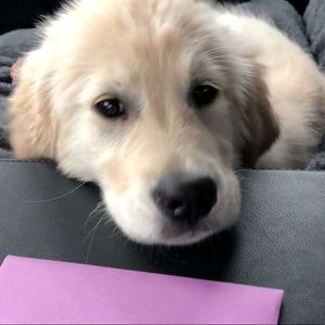 Meet your Posher, Sami